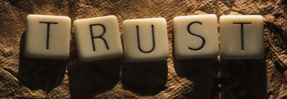 Why our partners choose us